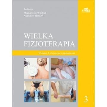 Wielka fizjoterapia T.3 w.2 poszerzone - red. Zbigniew Śliwiński, Aleksander Sieroń