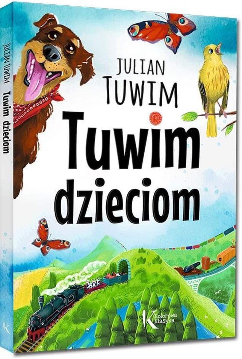 Ułamki. Podręcznik. Klasy