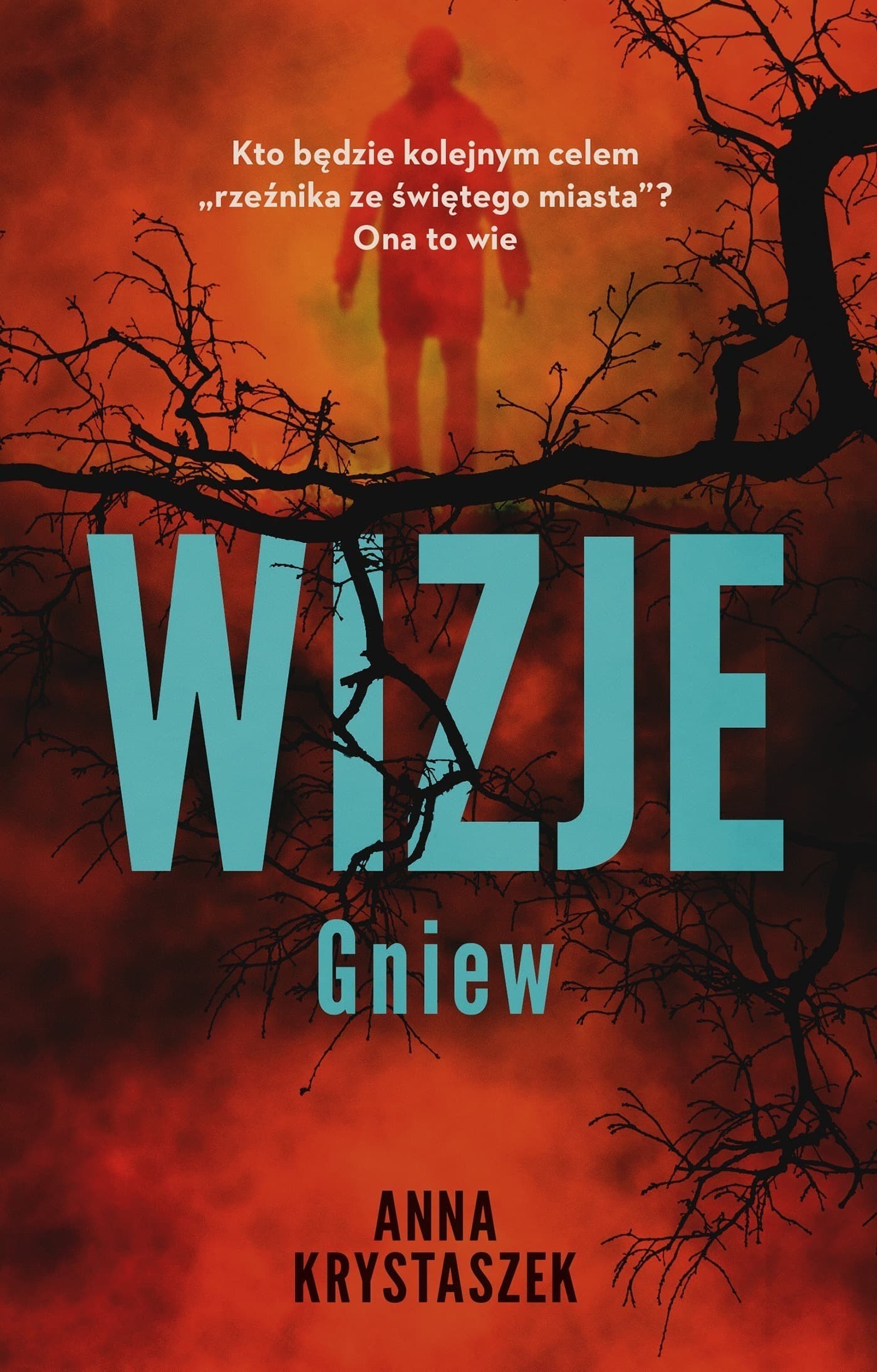 Wizje - Powieść - Anna Krystaszek