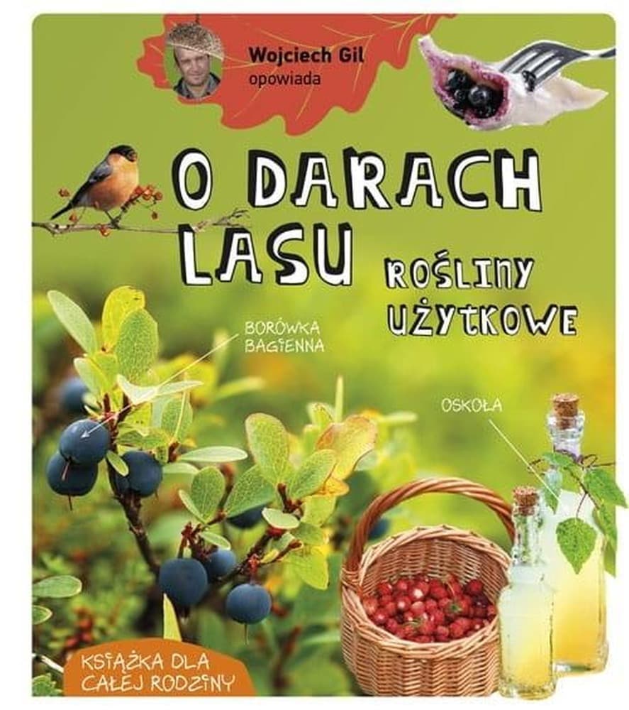 Wojciech Gil opowiada o darach lasu Rośliny użytkowe