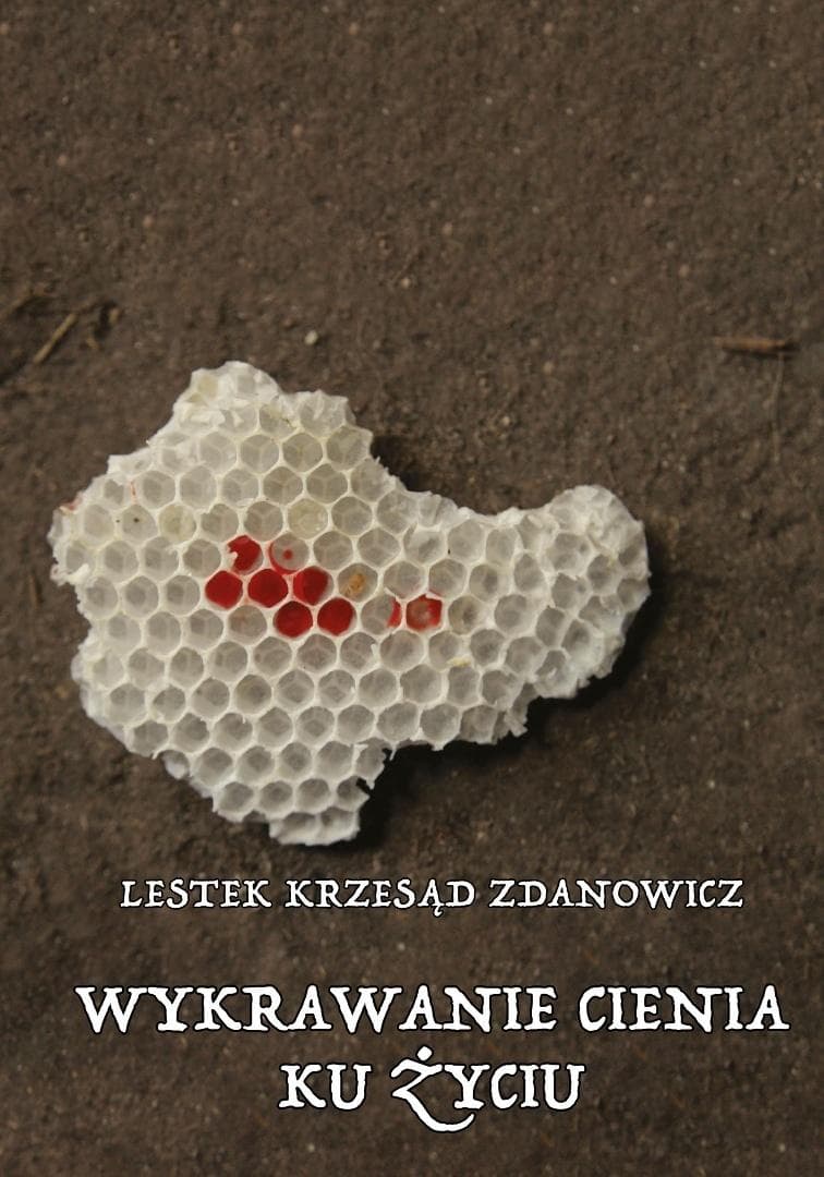 Wiersze Lestek Krzesąd Zdanowicz - Wykrawanie cienia ku życiu