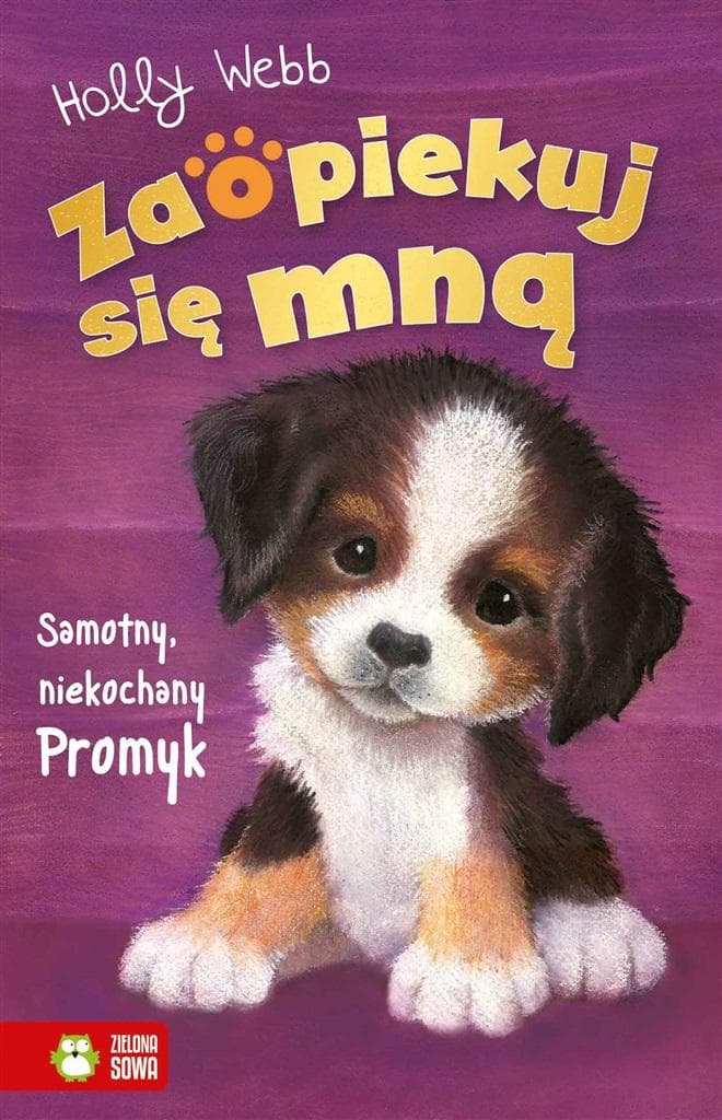 Promyk. Zaopiekuj się mną. Holly Webb