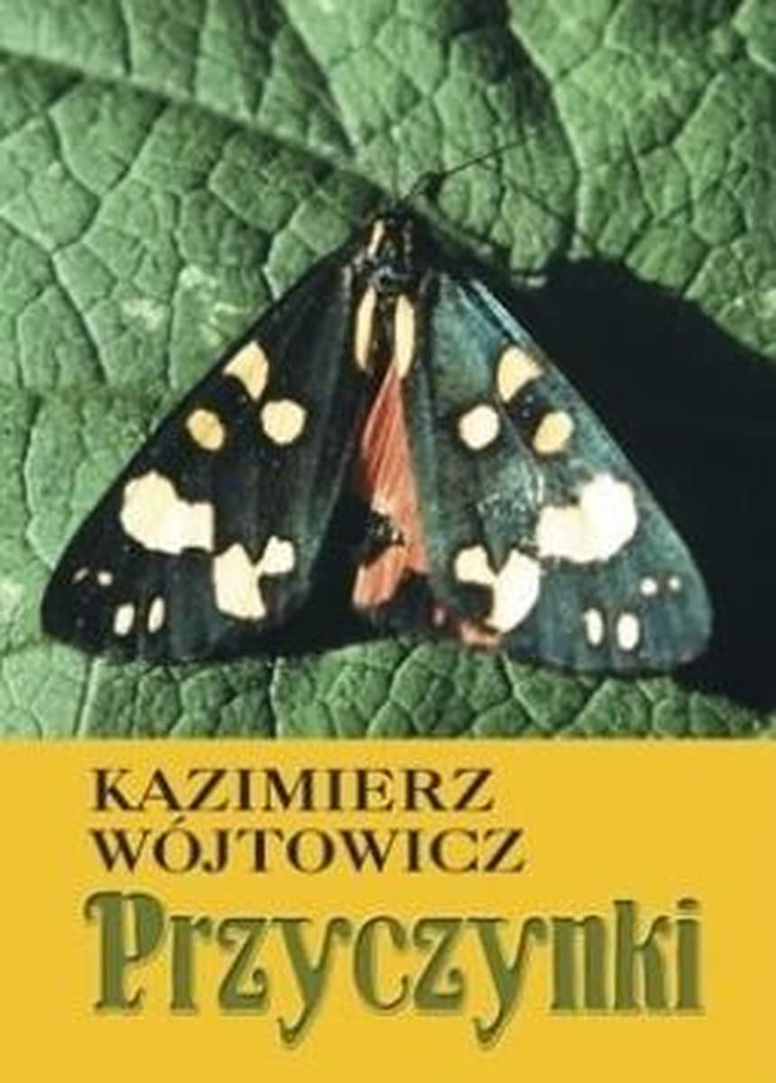 Zbiór opowiadań i refleksji - Kazimierz Wójtowicz