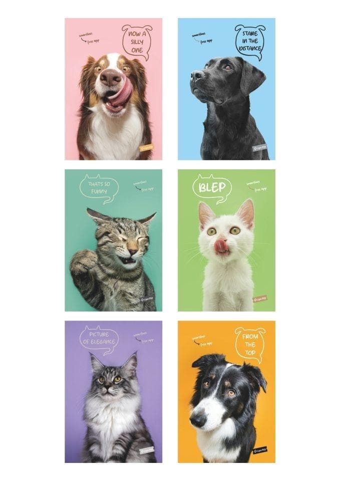 Zeszyt A5 kratka 60 kartek Pets mix wzorów 10 sztuk