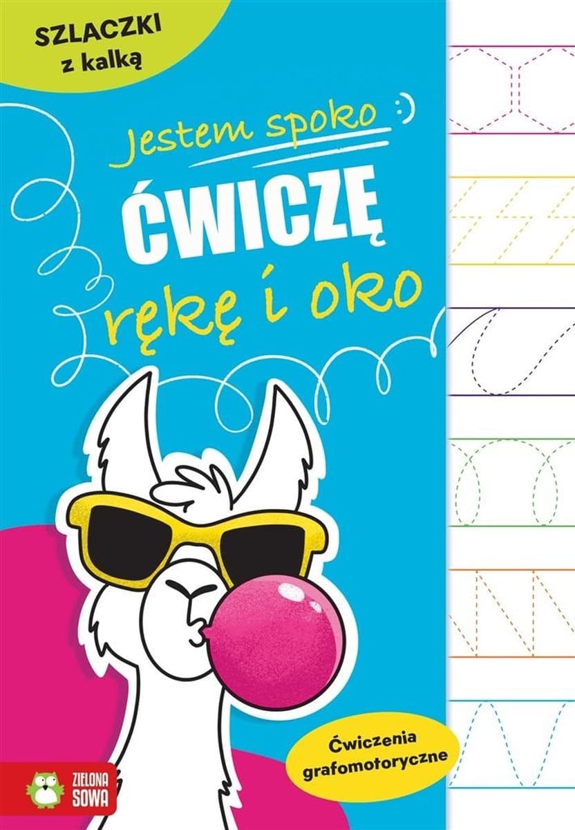 Zeszyt do ćwiczeń grafomotorycznych Szlaczki z kalką. Ćwiczę rękę i oko