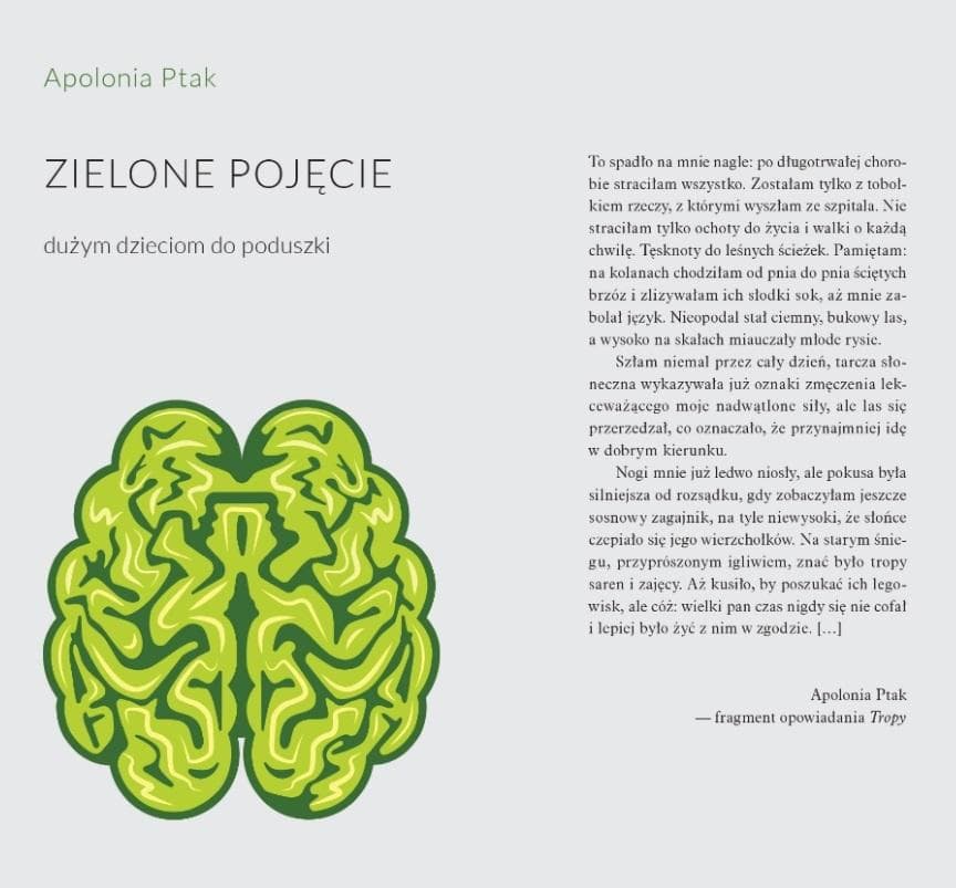 Apolonia Ptak - Zielone pojęcie. Dużym dzieciom do poduszki